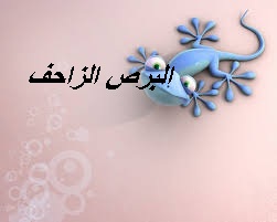 فطائر السبانخ فطائر السبانخ