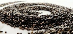 ماهى بذور الشيا ماهى بذور الشيا