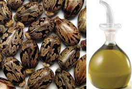 زيت الخروع للوجه زيت الخروع للوجه