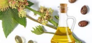 زيت الخروع للبشرة زيت الخروع للبشرة
