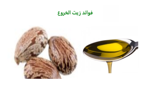 زيت الخروع للوجه
