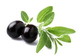 فوائد الزيتون