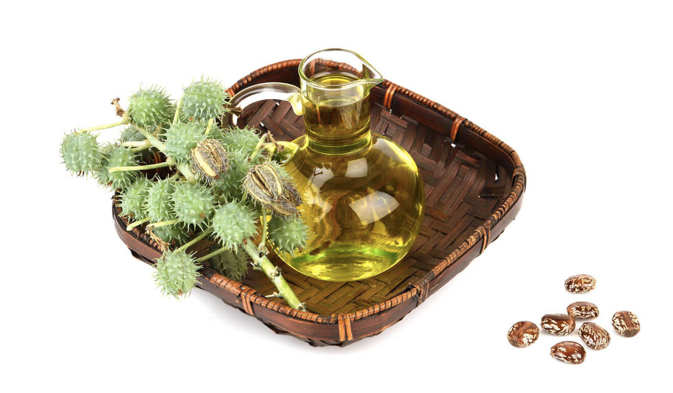 فوائد زيت الخروع فوائد زيت الخروع