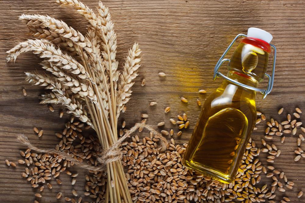 فوائد زيت جنين القمح للبشره فوائد زيت جنين القمح للبشره