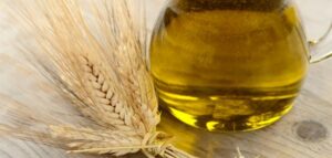زيت جنين القمح للسواد زيت جنين القمح للسواد