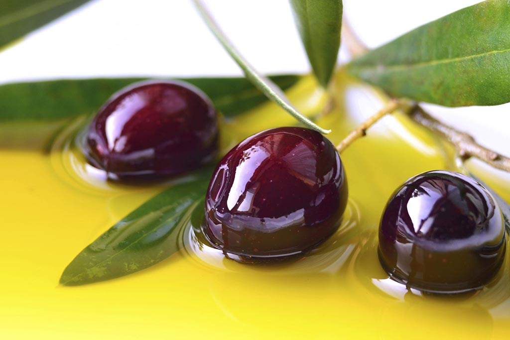 الزيتون الاسود الزيتون الاسود
