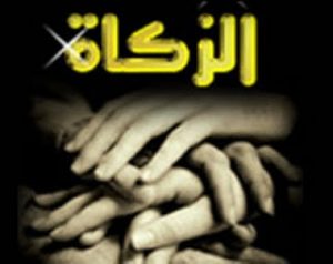 انواع الزكاة