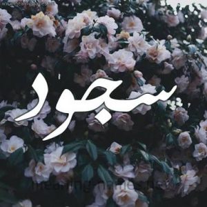 عدد السجدات فى القران