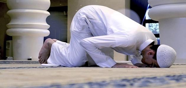 كم سجدة في القرآن الكريم كم سجدة في القرآن الكريم