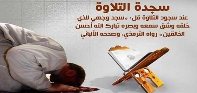 كم سجدة في القرآن الكريم