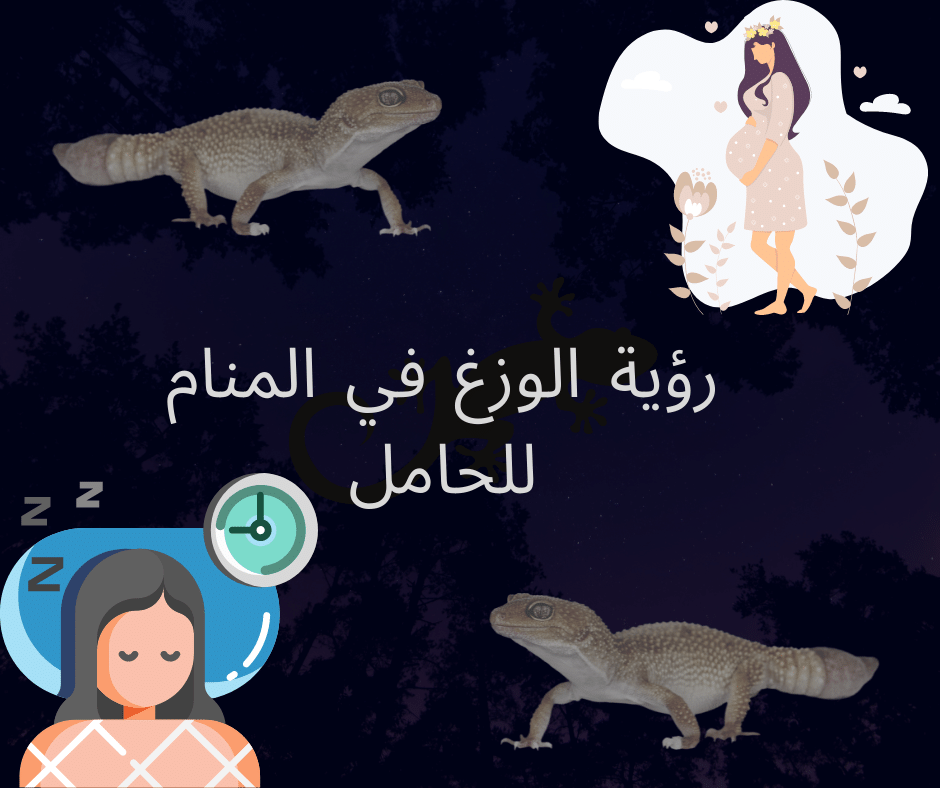 رؤية الوزغ في المنام للحامل