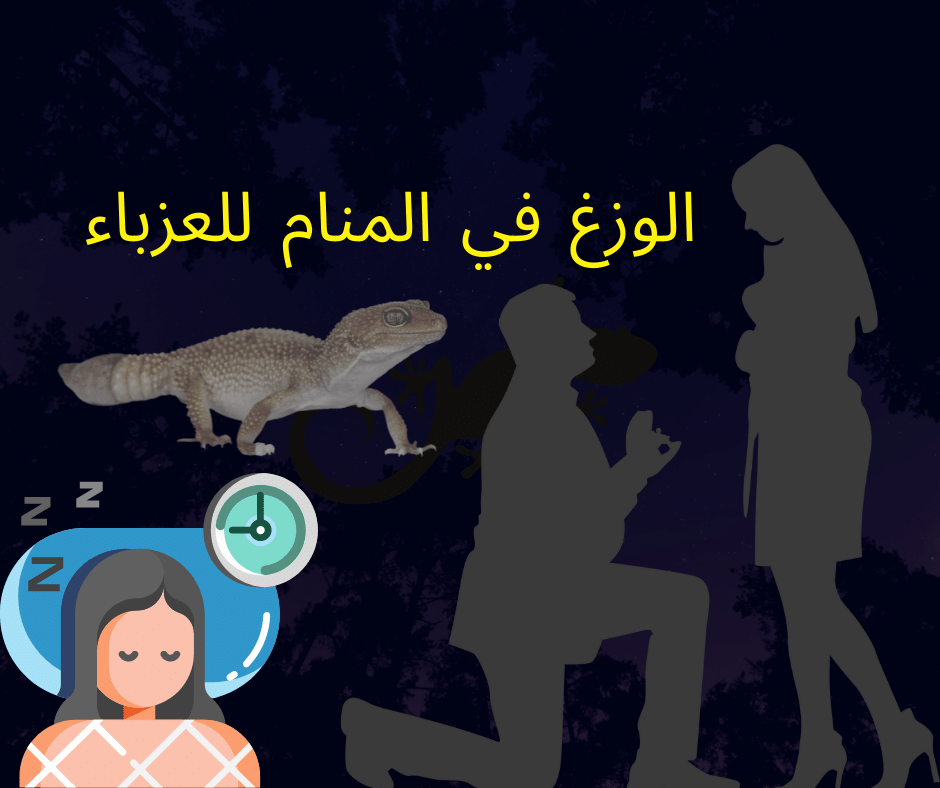 الوزغ في المنام للعزباء