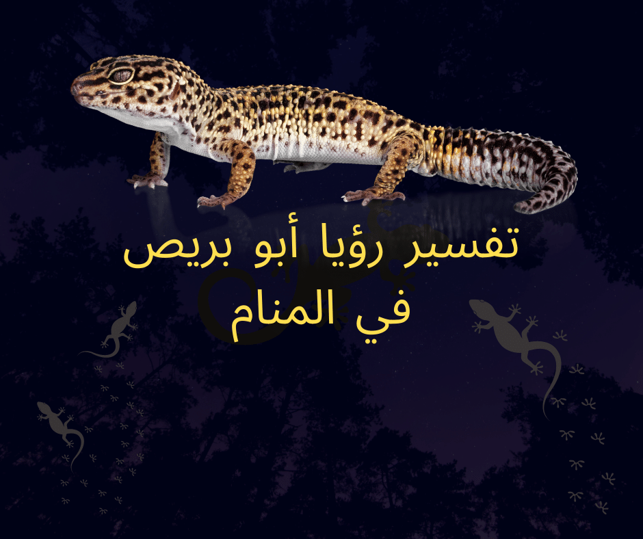 تفسير رؤيا أبو بريص في المنام